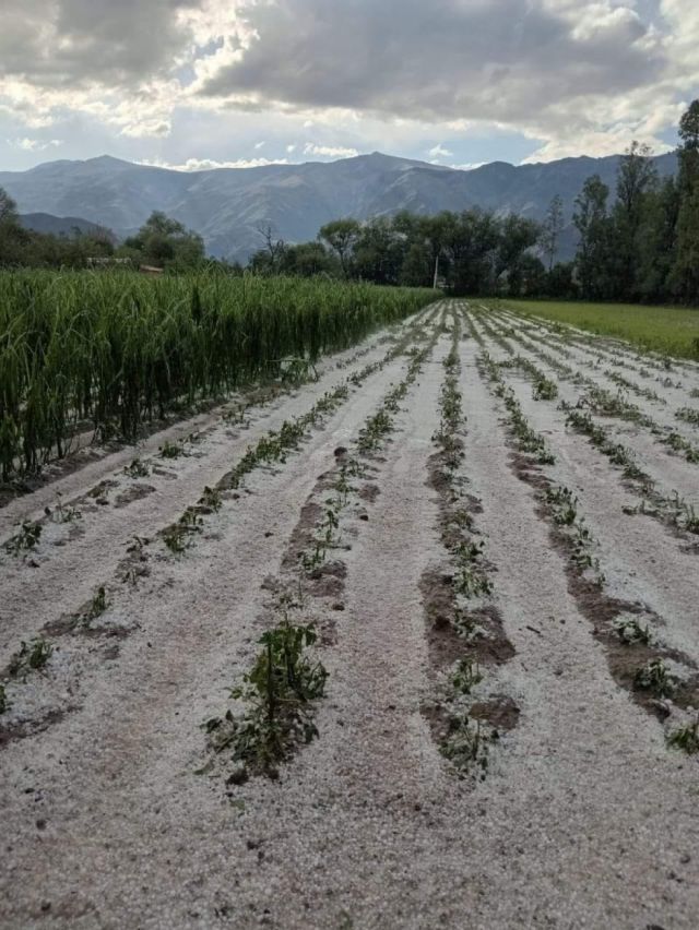 Una intensa granizada acabó con los cultivos en San Andrés