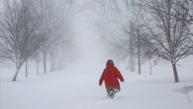 Tormenta invernal paraliza a EE.UU.: deja una veintena de muertos y cubre de hielo todo Seattle