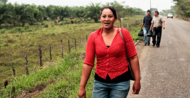 OIT: Uno de cada cinco  trabajadores sufre acoso