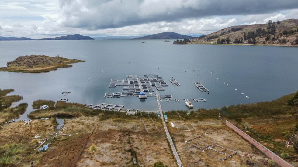 Presidente Arce da inicio a la construcción de una moderna Planta Piscícola en La Paz en la que se invertirá Bs 87,7 millones