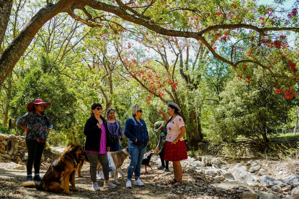 Relato bajo los ceibos de La Victoria