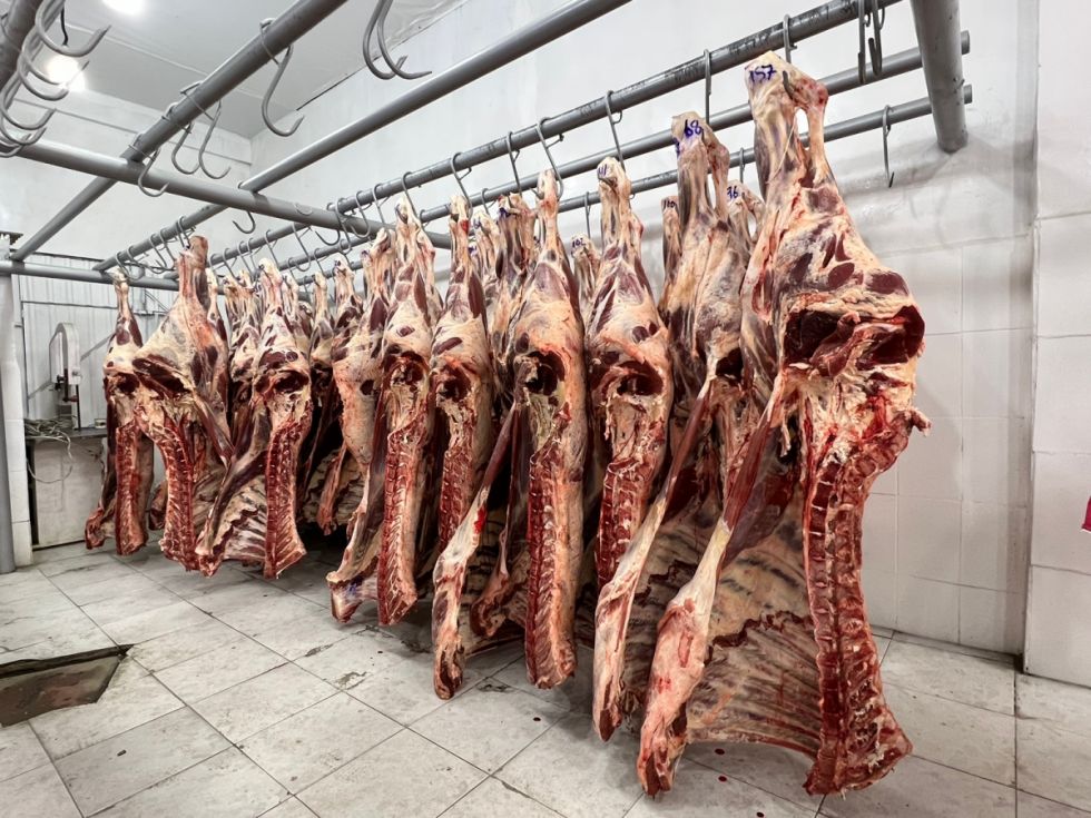 Bolivia exporta carne y derivados por $us 228 MM