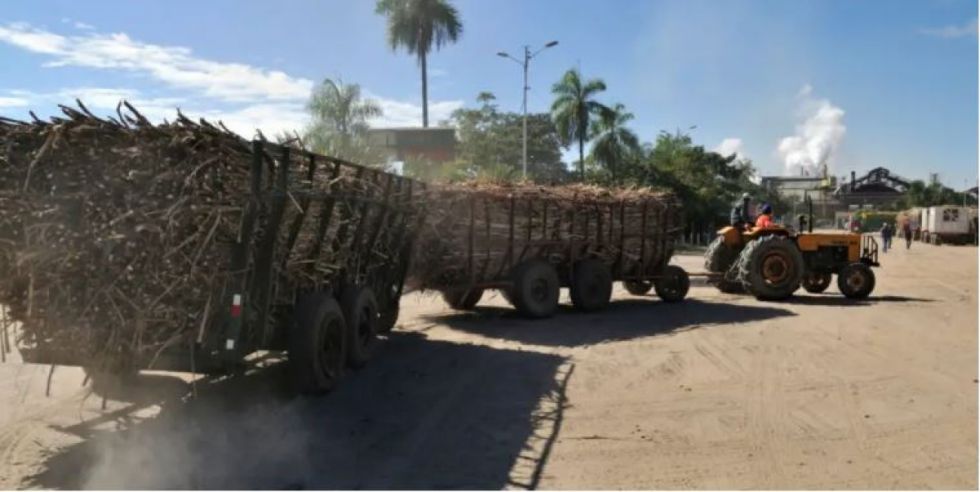 Biodiésel en Bolivia: ¿oportunidad económica u otra amenaza a la Amazonia? Biodiésel en Bolivia: ¿oportunidad económica u otra amenaza a la Amazonia?
