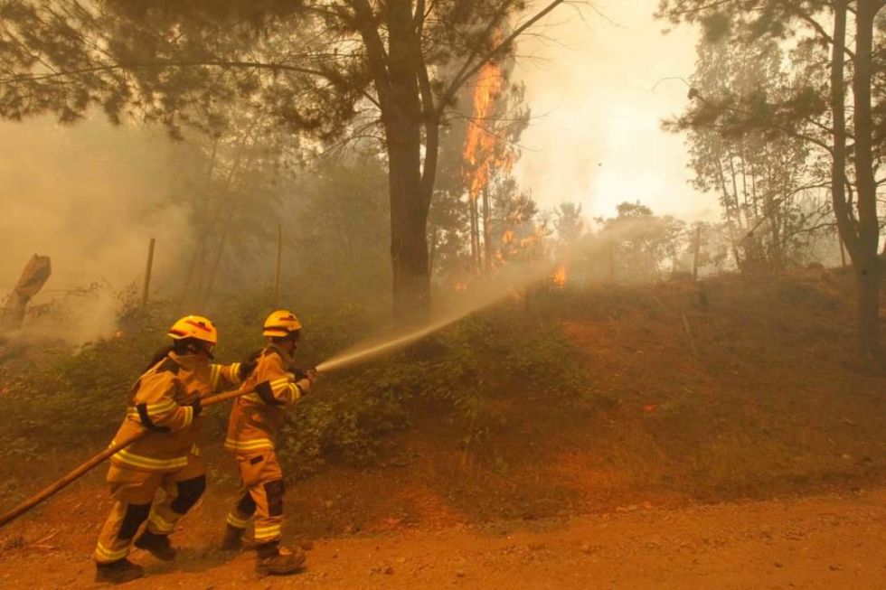 Chile: muertos por incendios llegan a 22 y heridos suman 554