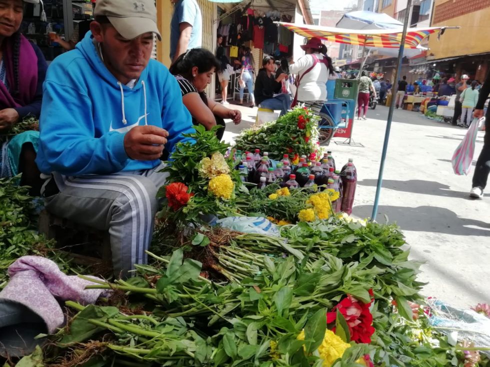 Martes de Albahaca