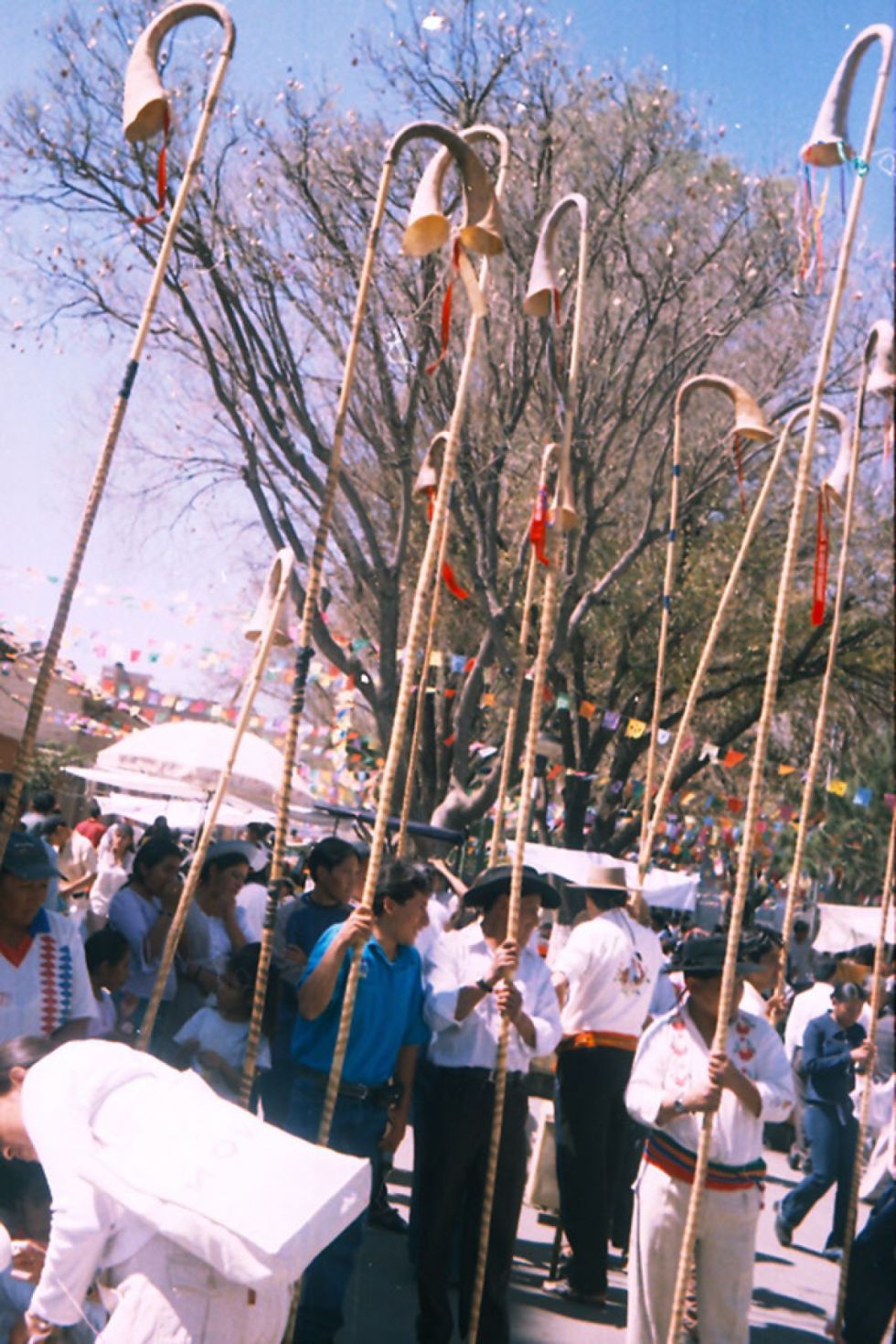 Caña