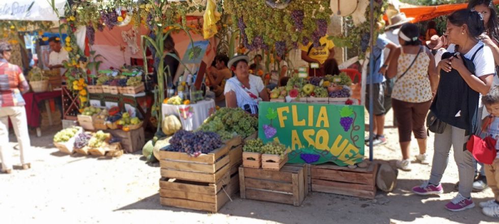 La Feria De La Uva En Calamuchita, La Antesala A La Vendimia Chapaca