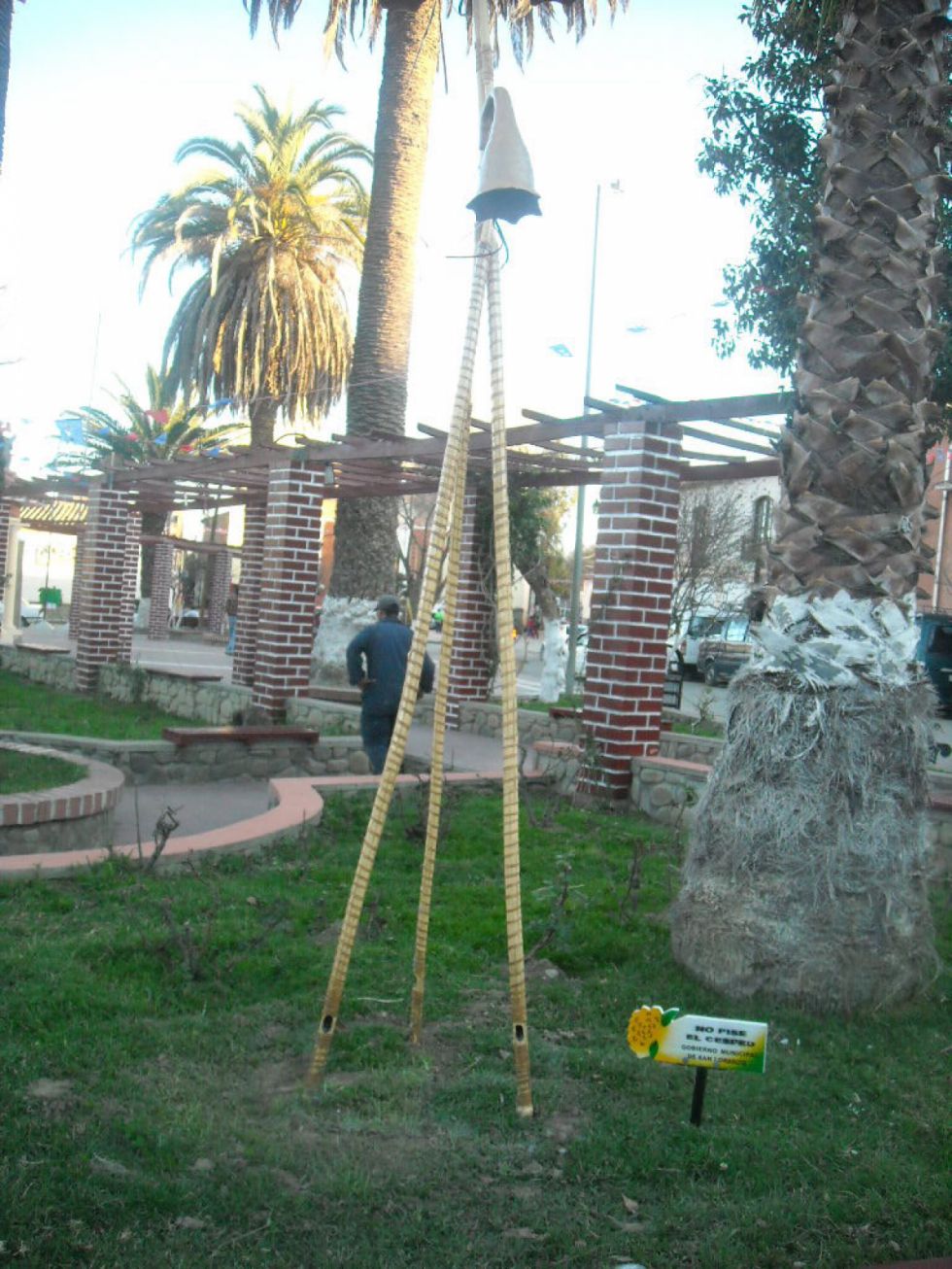 Caña