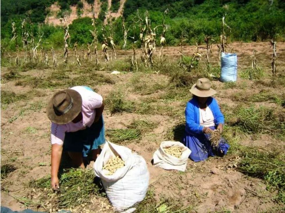 Bolivia, Camboya y Filipinas reciben nuevo financiamiento verde