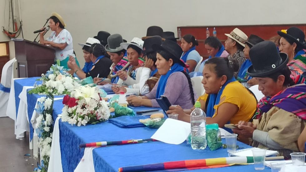 Bartolinas ven escasa presencia de la mujer en la arena política