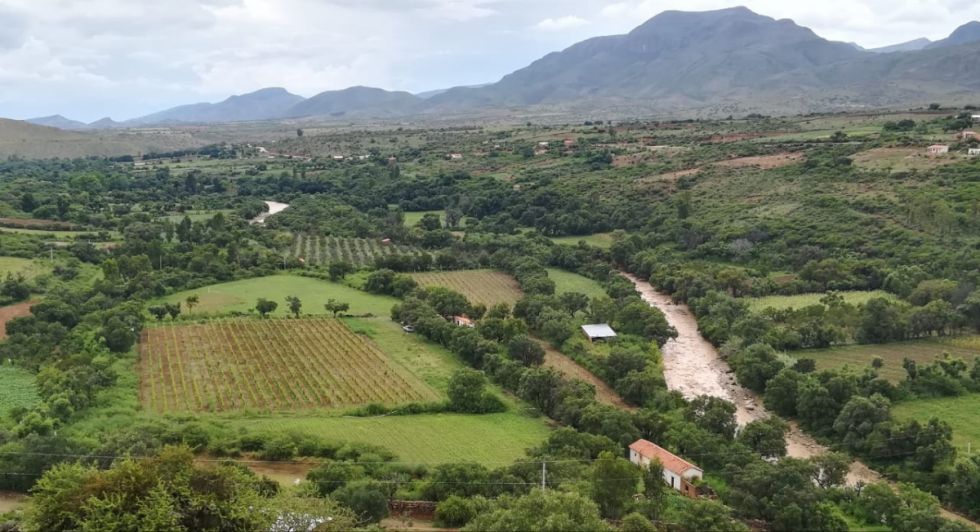 El río Yesera baña las uvas
