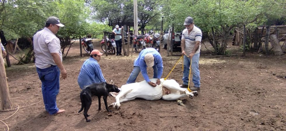 El Sedag destaca la asistencia y control a favor de los ganaderos de Tarija