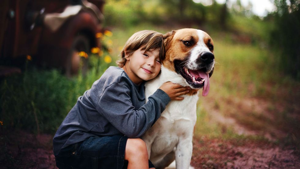 Cómo mejorar la relación entre los niños y las mascotas