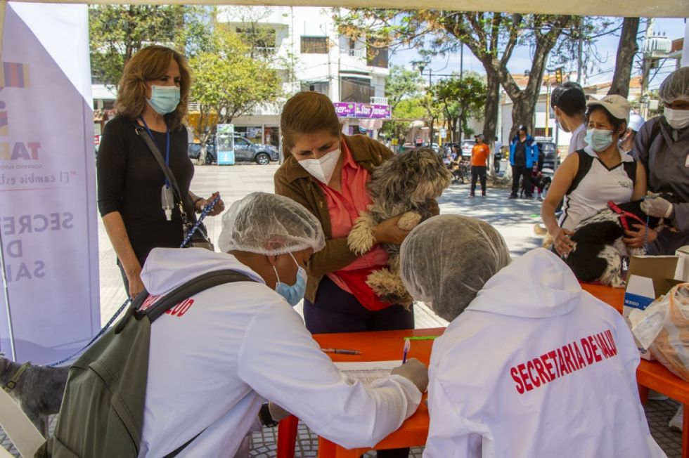 Zoonosis coordina castración de mascotas con la Fedjuve de Tarija 