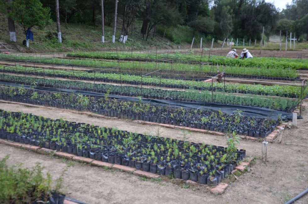 Tarija: El Pertt por su aniversario realiza el primer recorrido a sus instalaciones