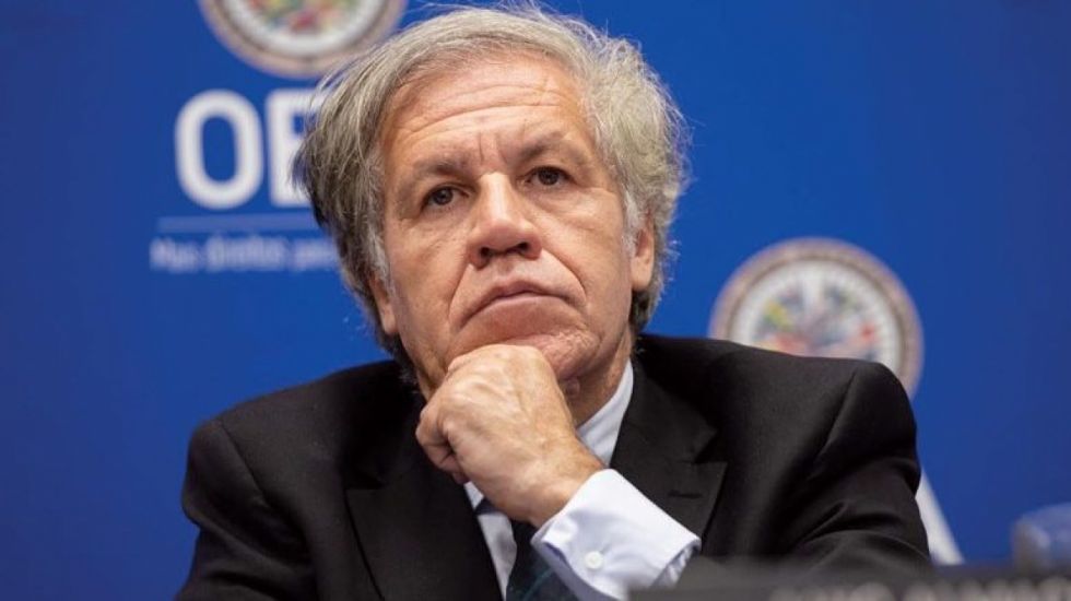 Congresistas de EEUU piden investigar a Almagro