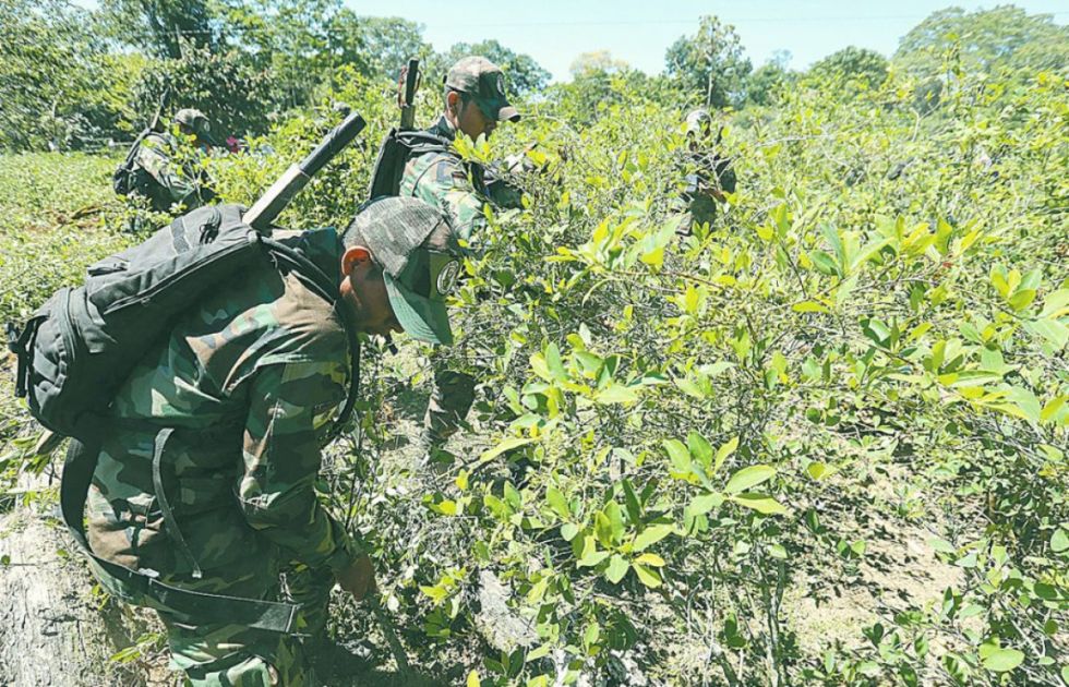 Exigen intervenir "republiqueta Chapare" por anuncio de "ronderos" y supuesta protección al narcotráfico