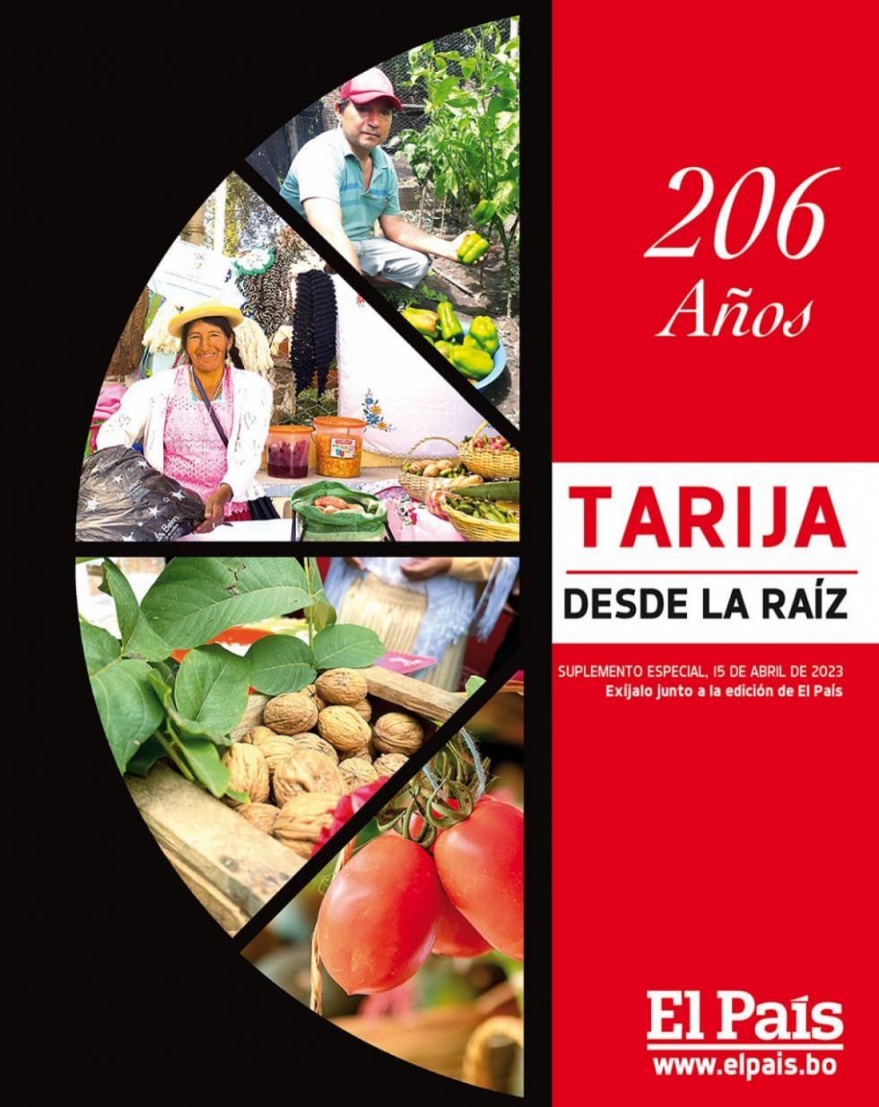 La raíz de Tarija