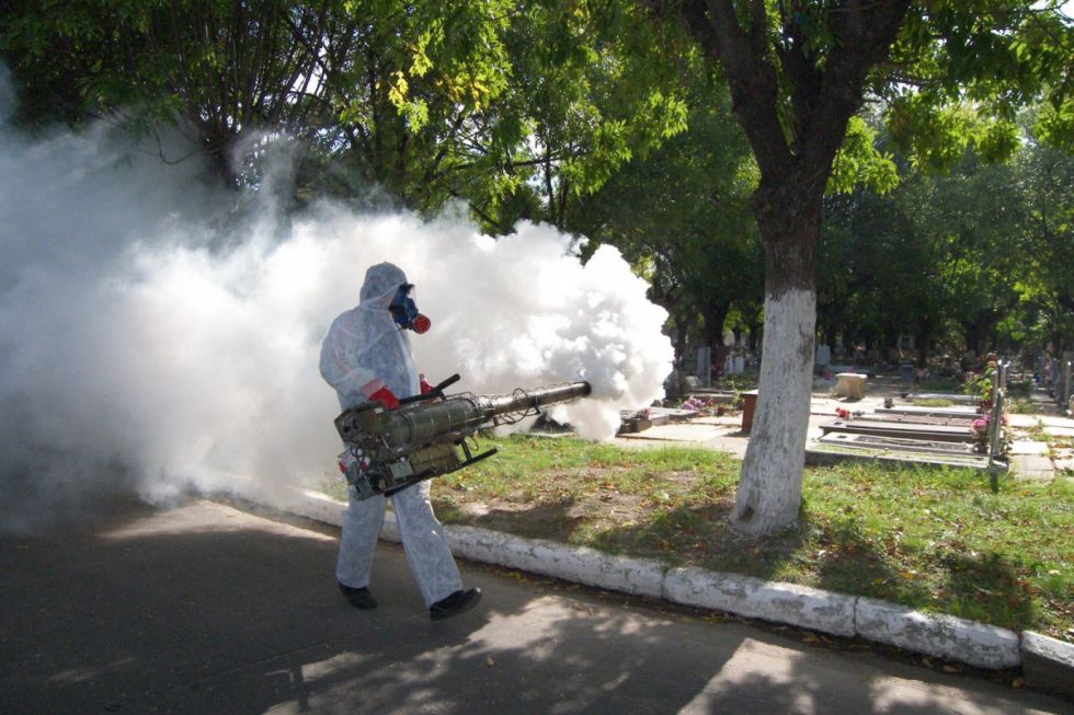 Crisis de dengue en Argentina: al menos 35 muertos y más de 41.000 infecciones