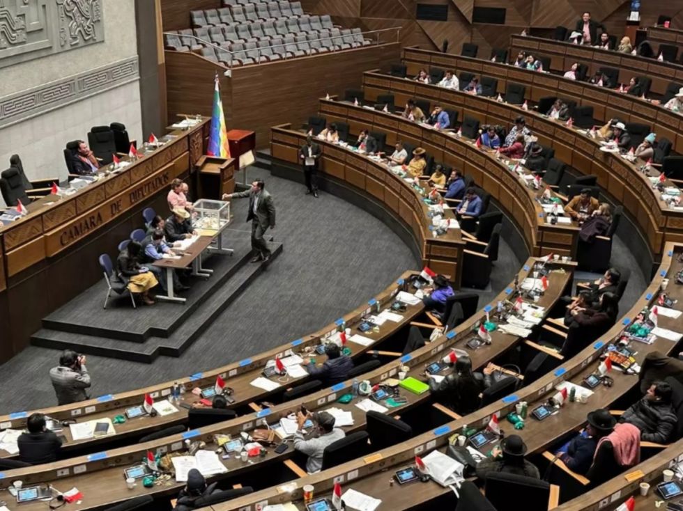 Gobierno define como estratégica ley para fortalecer las RIN