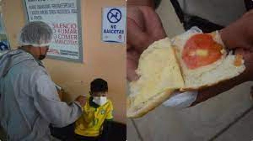 Detectan salmonella, coliformes y estafilococos en el sándwich del desayuno escolar que intoxicó a niños de Tarija