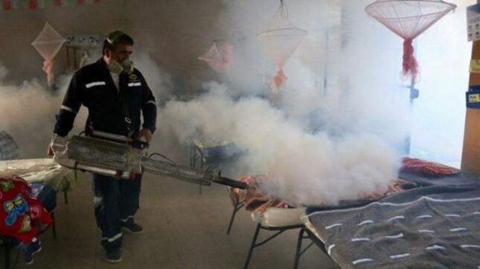 Dengue: Amplían emergencia en Perú