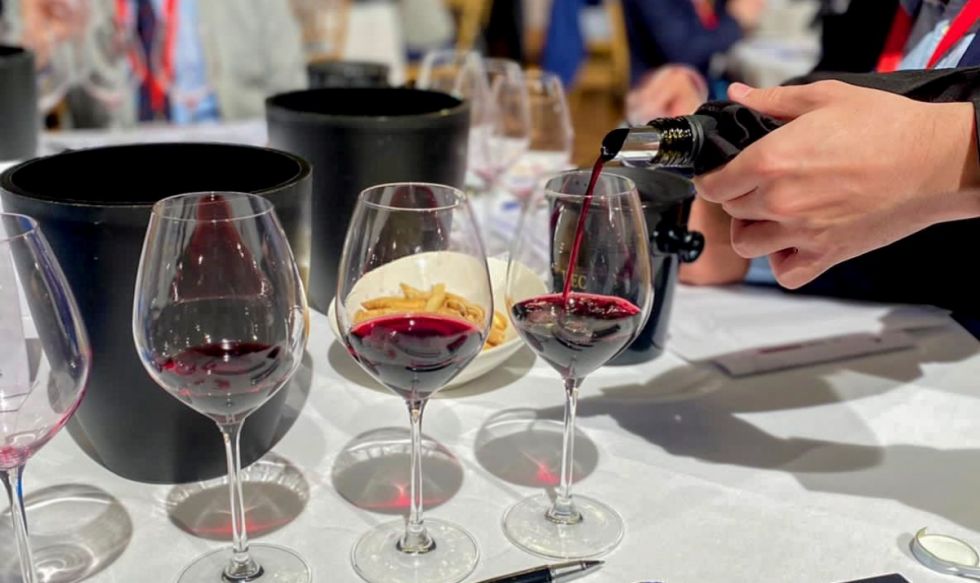 Bodegas bolivianas abren camino en el exigente mercado europeo con exportación de vinos a Bélgica