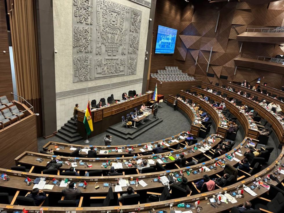Elecciones judiciales: declaran cuarto intermedio en la Cámara de Diputados