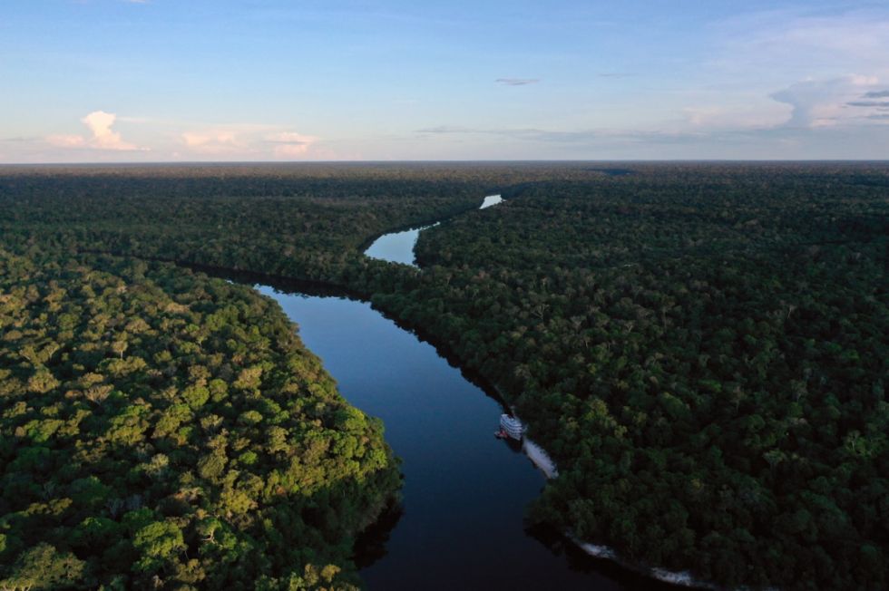 ¿Qué hacer con la Amazonia?  Se reabre el debate en Brasil