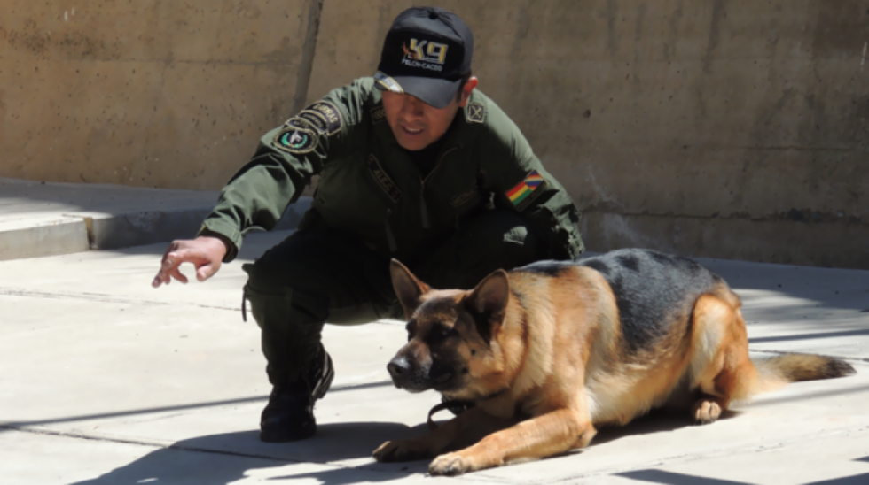 Arispe pide que personal de la FELCN y "perritos" antidroga sean removidos de Viru Viru