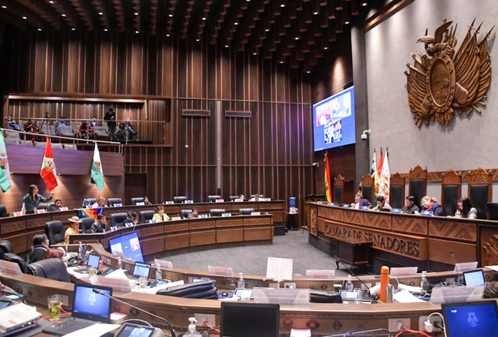 Senado sanciona ley corta para elecciones judiciales