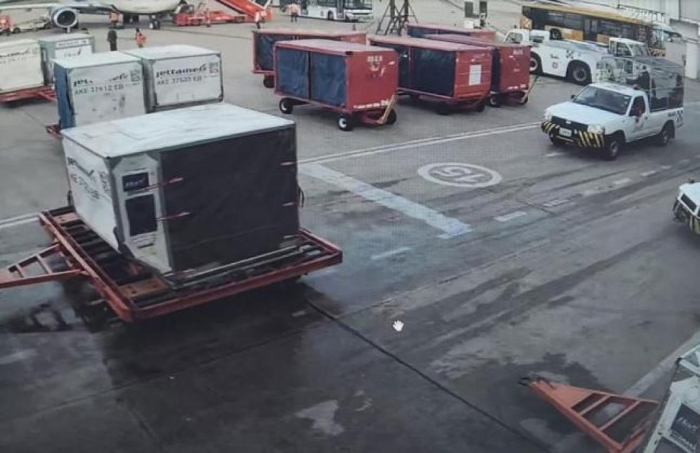 Identifican a 11 implicados en caso ‘narcovuelo’: desde un conductor de remolque hasta un oficial antidroga