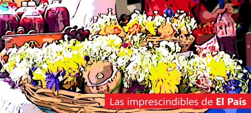 Ajipa, narcoencomienda, traiciones al peso... lee las 5 imprescindibles de este jueves feriado