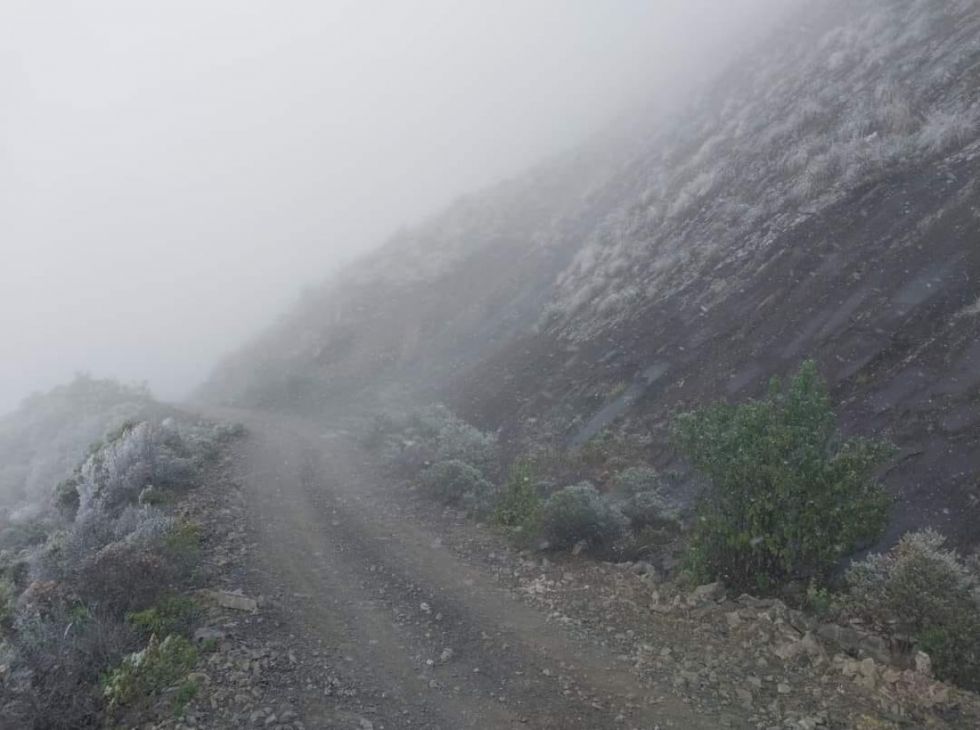 La neblina dificulta la visibilidad del camino