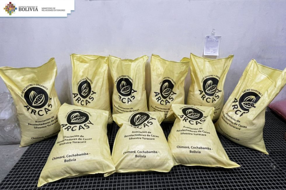 Indígenas de ARCASY exportan primeros 500 kilos de cacao orgánico a Dinamarca