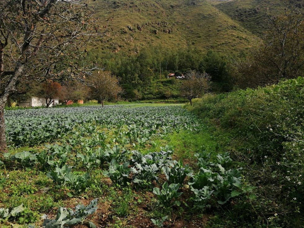 En las orillas de la cuesta de Sama