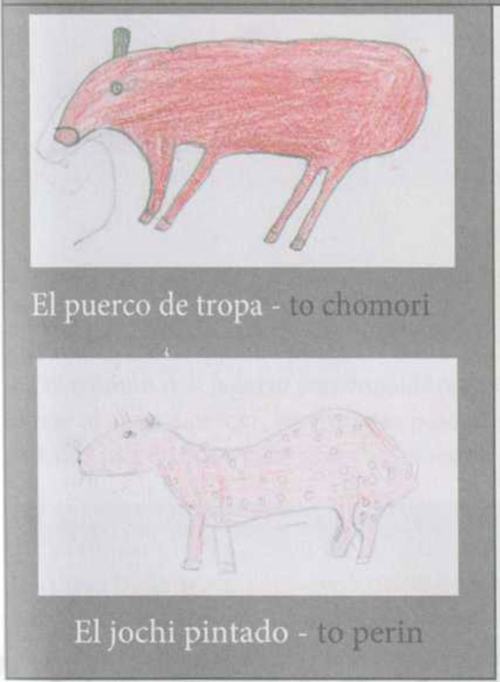 Los Baure