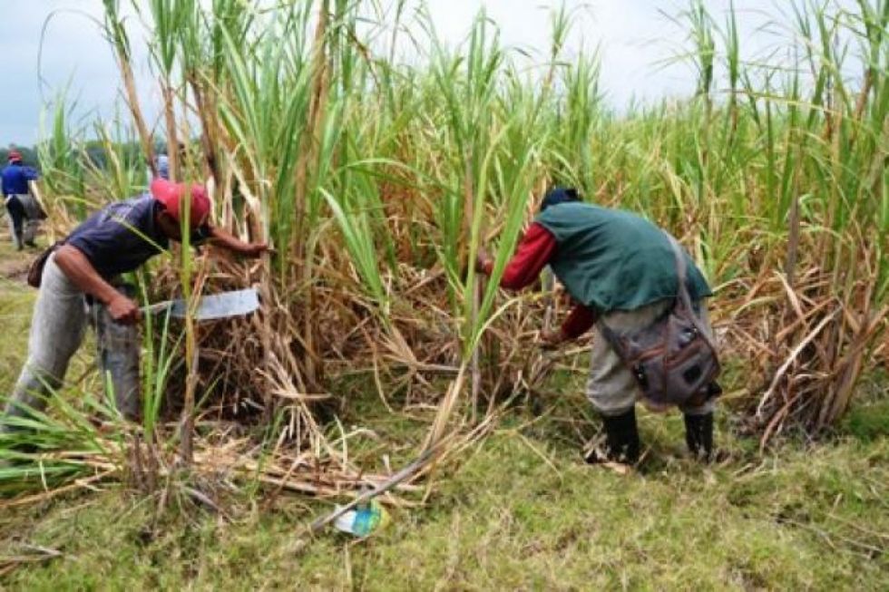 YPFB niega deuda con productores de etanol