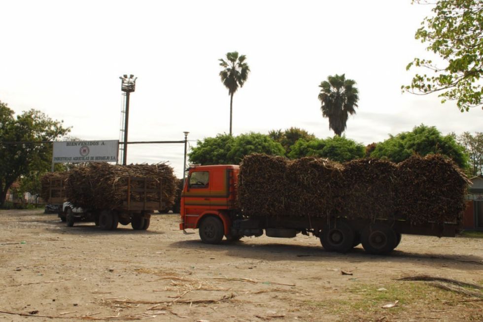 Falta de acuerdo entre cañeros e industriales retrasa la zafra 
