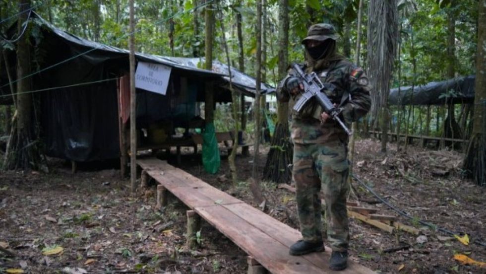 Gobierno ejecutó más de 5 operativos antidroga en 2 días
