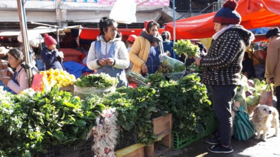 Productos agrícolas encarecen levemente por el clima frío 