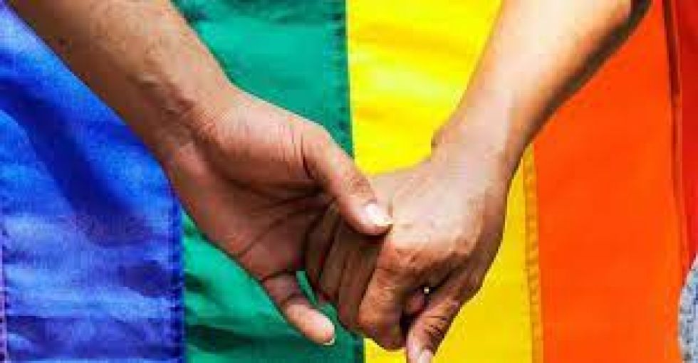 Serecí registró a 47 parejas del mismo sexo en Bolivia