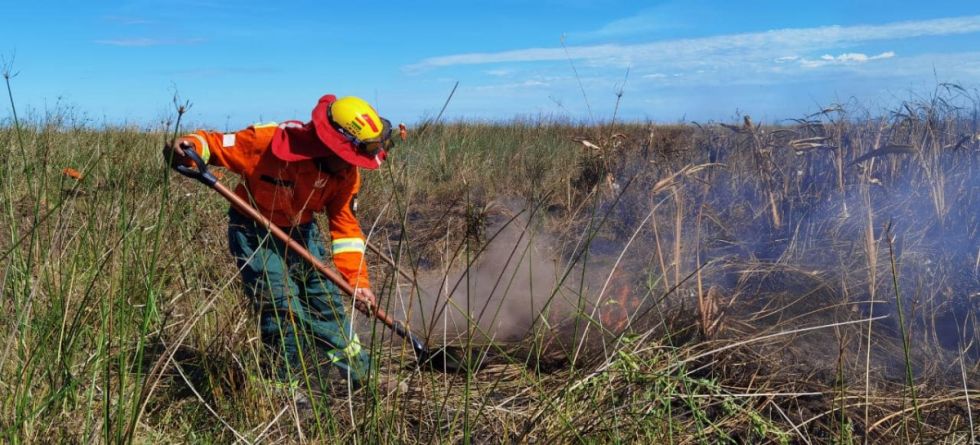 Chaqueos ilegales: ABT iniciará controles