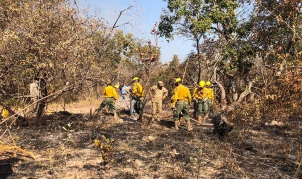 Plantean 10 años de cárcel para quienes generen incendios