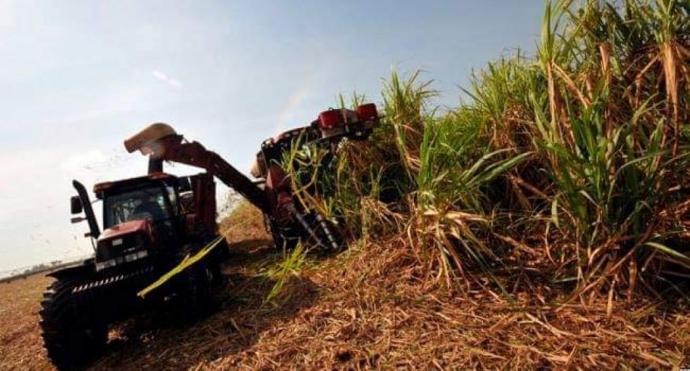 Zafra 2023 en la cuerda floja, aún no se firmó el acuerdo con federaciones cañeras