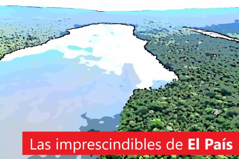 Aceite vegetal, el precio del pollo, la Amazonía invisible... Lee las imprescindibles de este martes