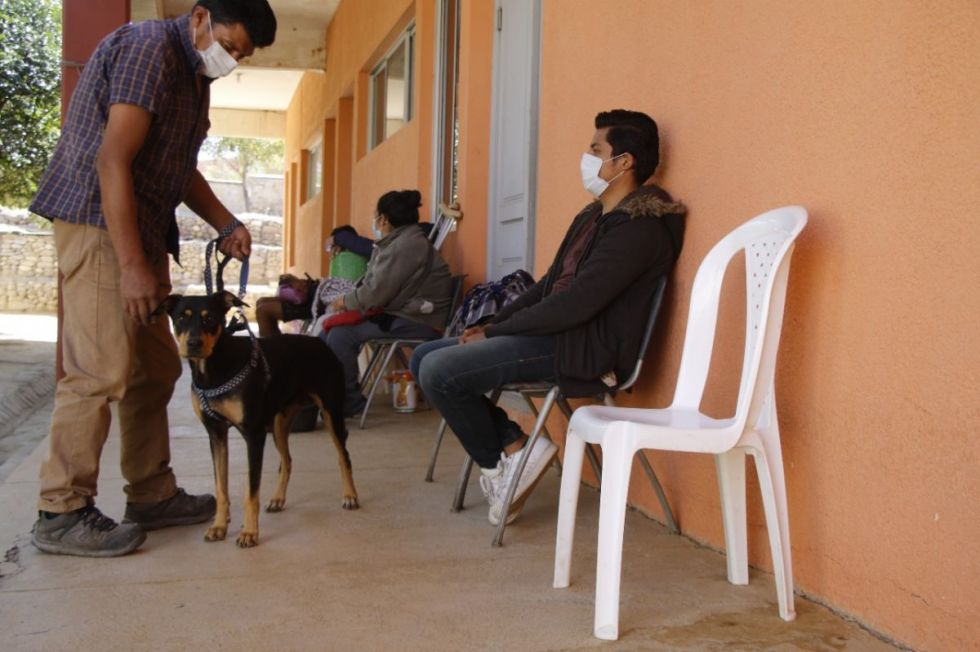 Alcaldía prevé construir un nuevo Zoonosis el 2024 