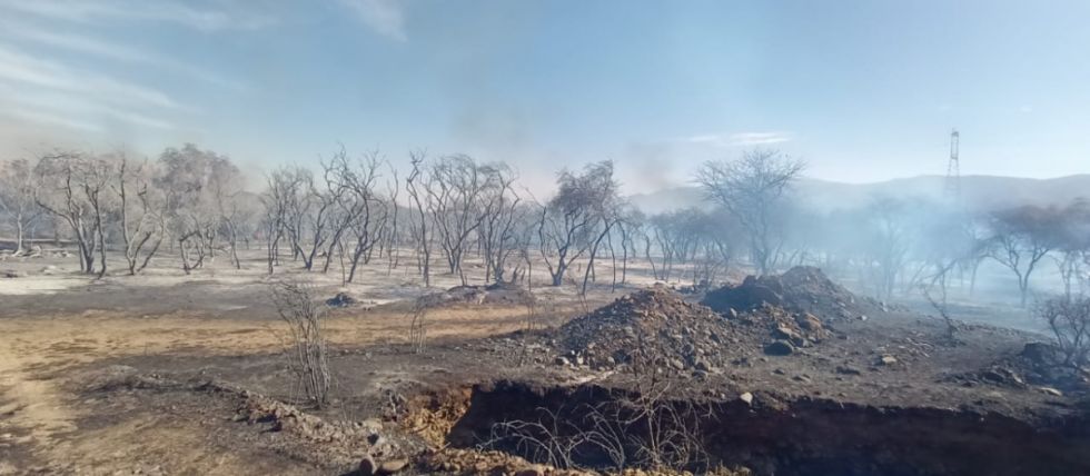 Imágenes del incendio en Monte Méndez 
