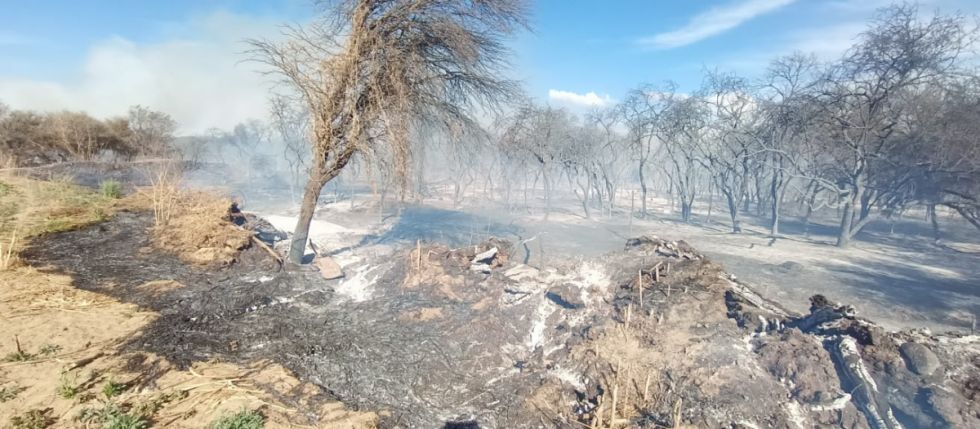 Imágenes del incendio en Monte Méndez 