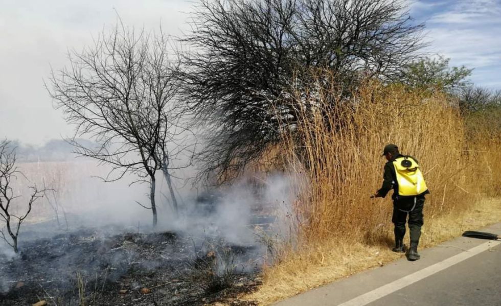 El fuego llegó hasta la ruta asfaltada 